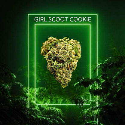 GIRL SCOOT COOKIE
